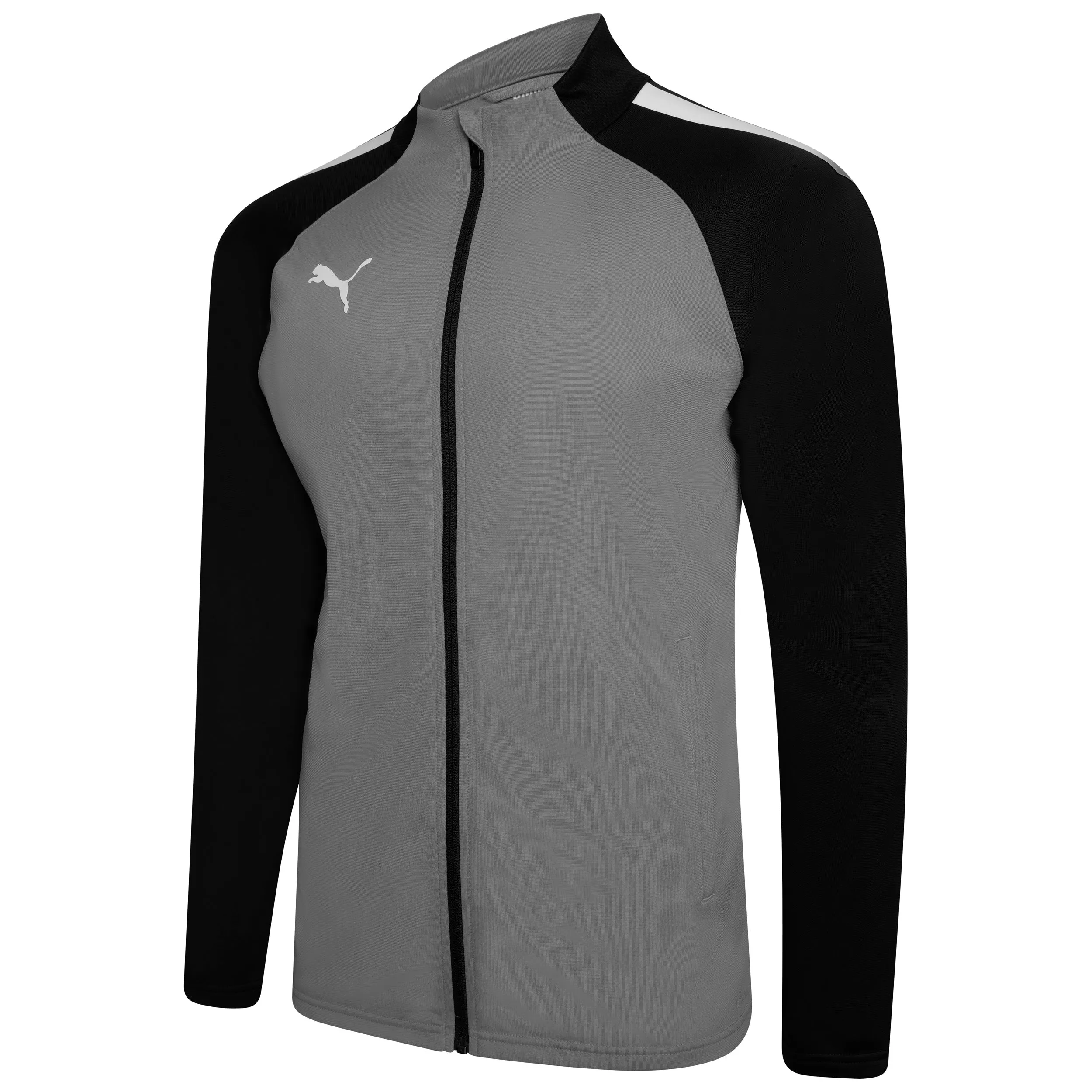 Puma Team Liga 25 Training Jacket