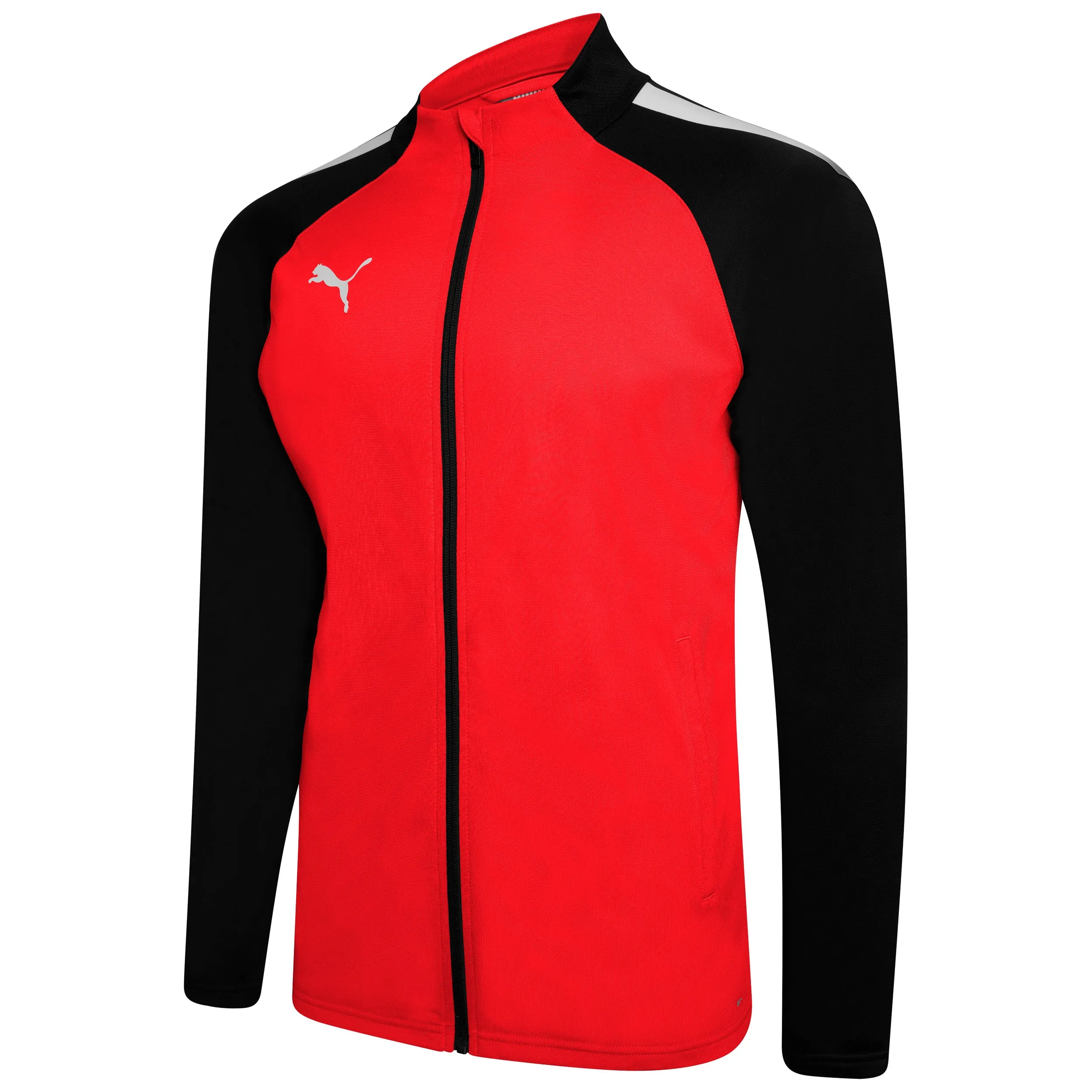 Puma Team Liga 25 Training Jacket