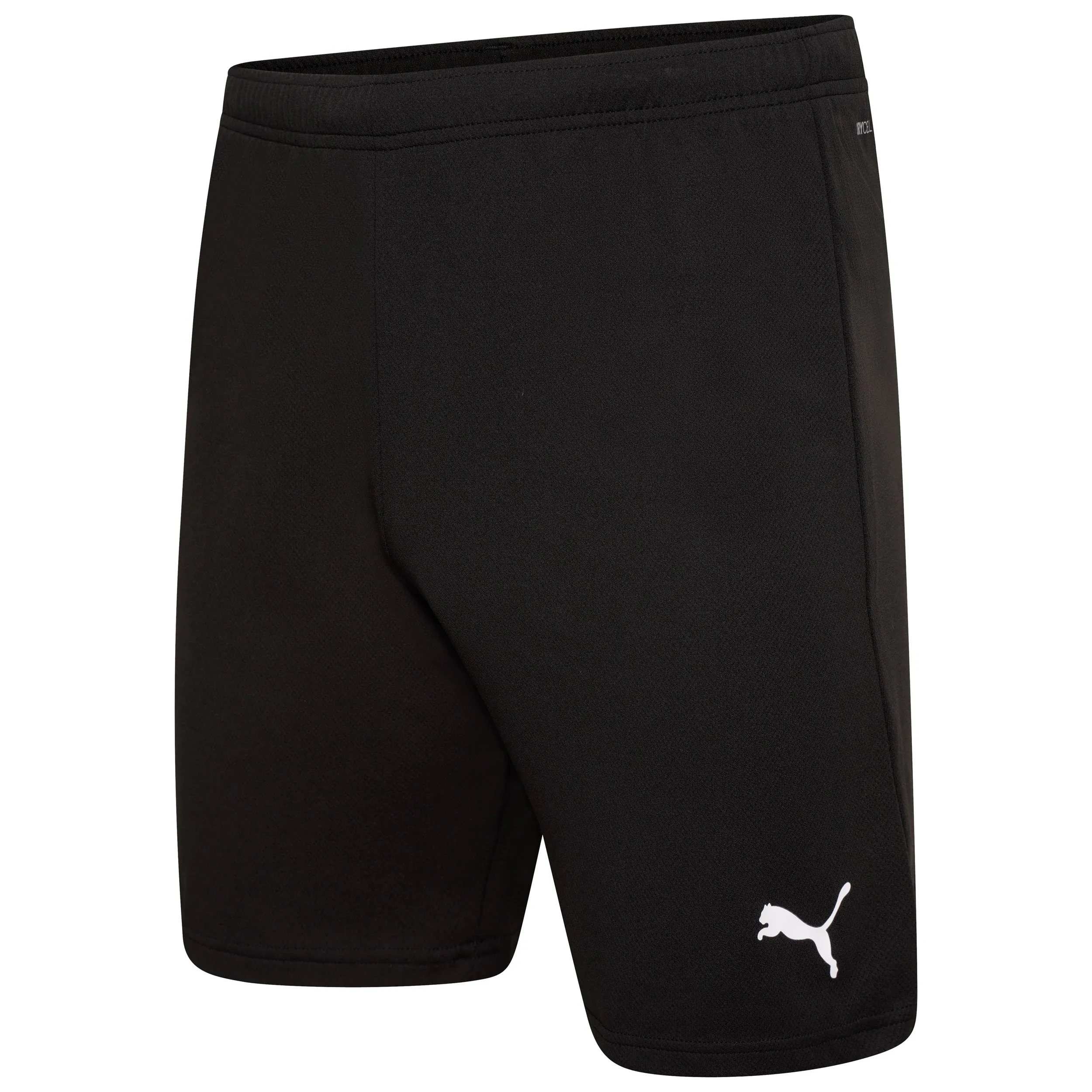 Puma Team Rise Shorts