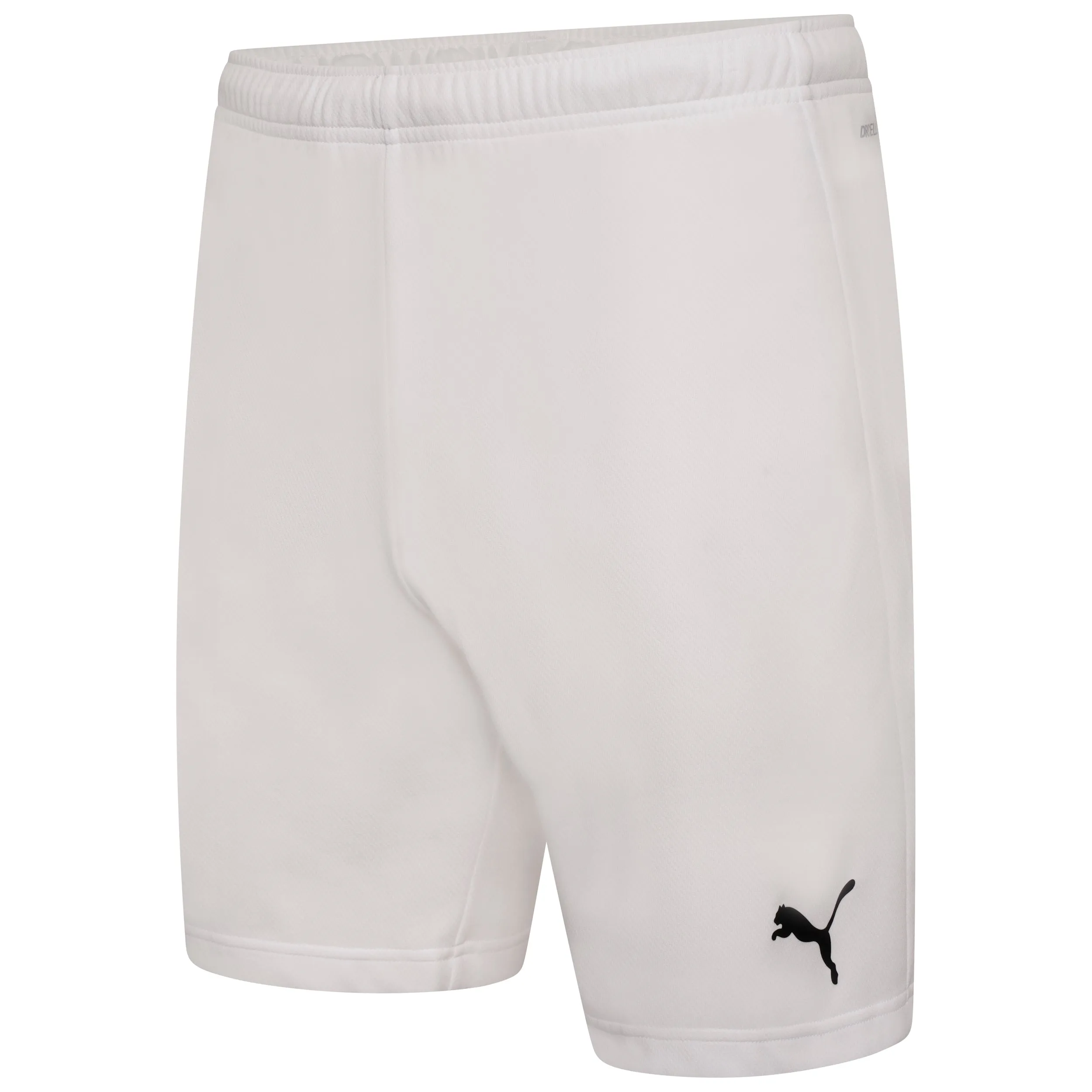 Puma Team Rise Shorts
