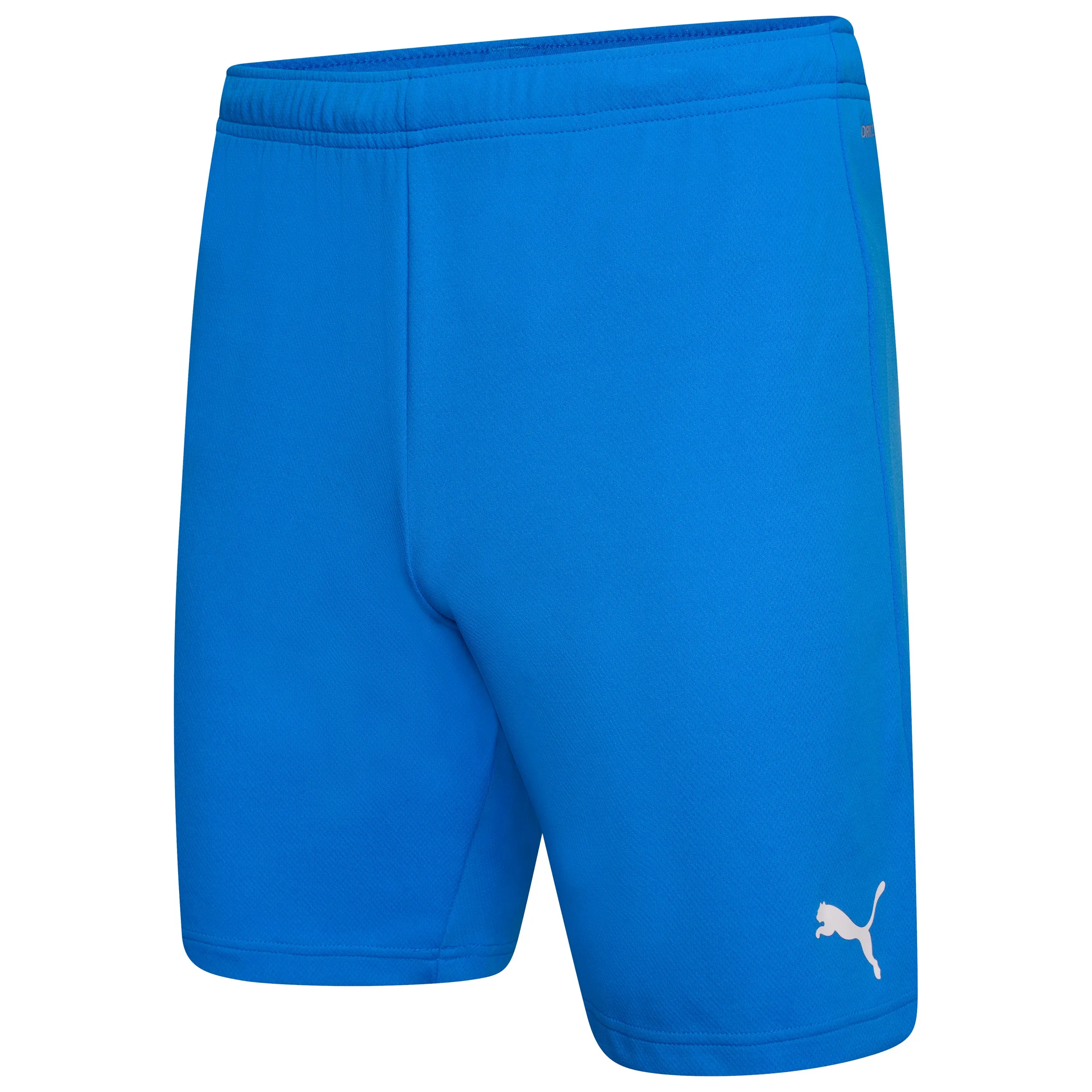 Puma Team Rise Shorts