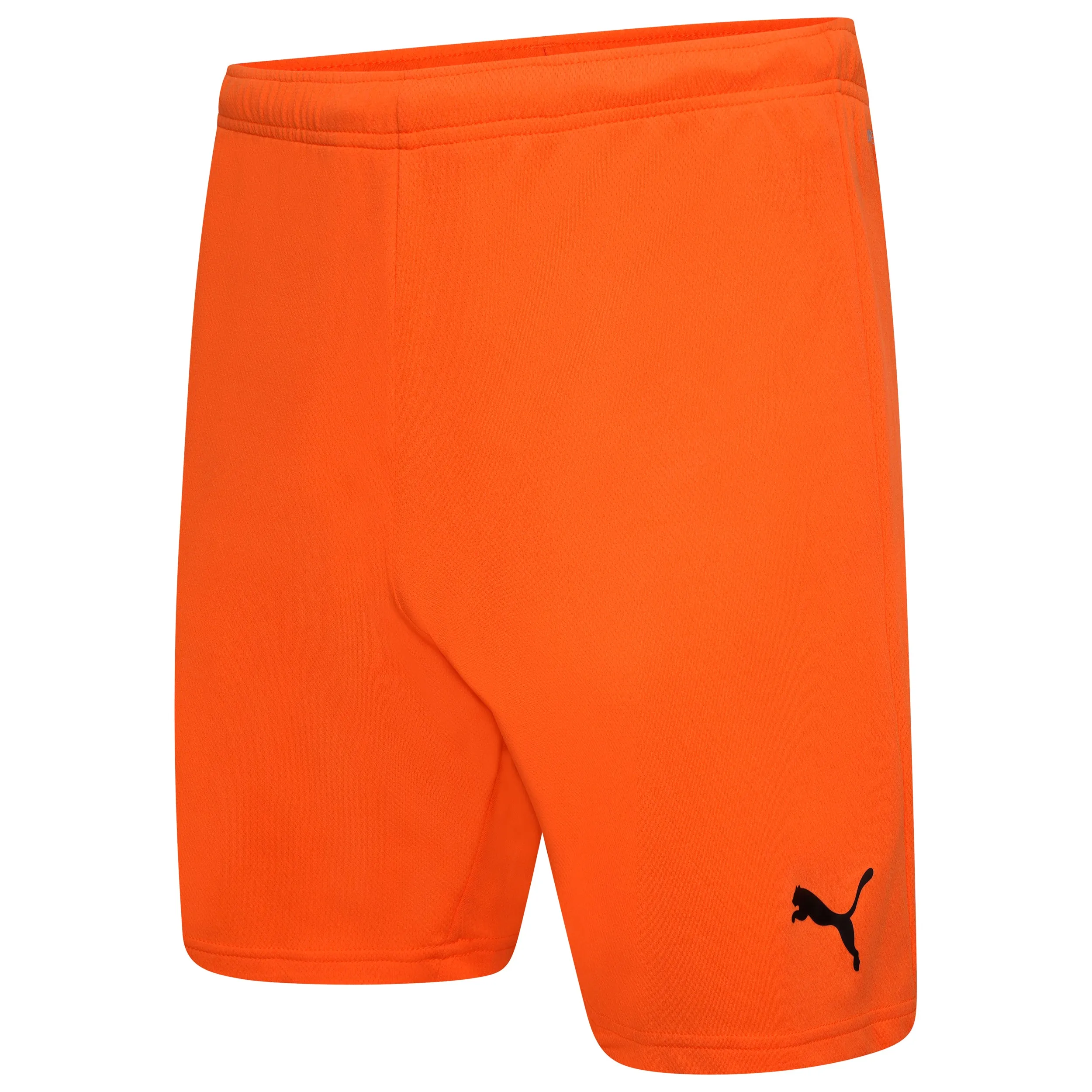 Puma Team Rise Shorts