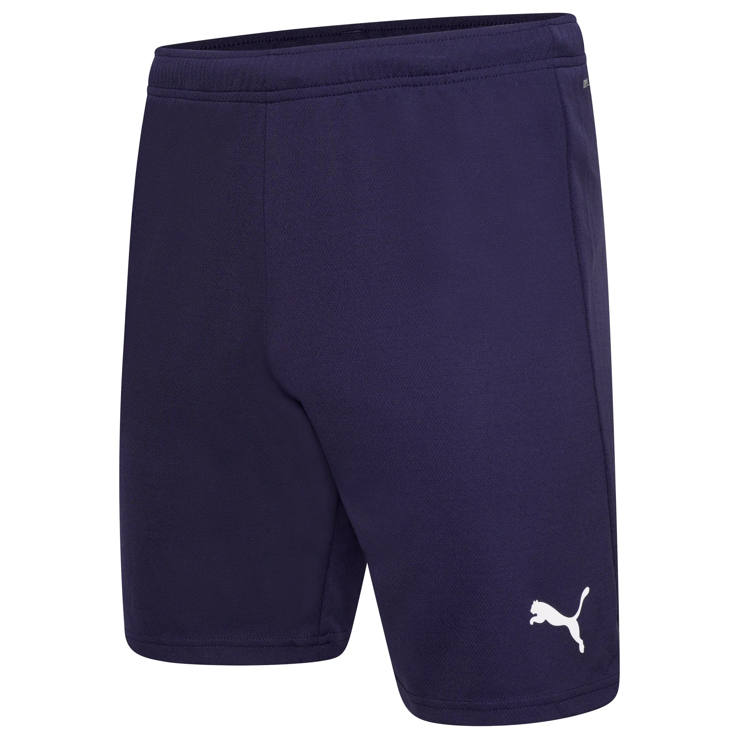 Puma Team Rise Shorts