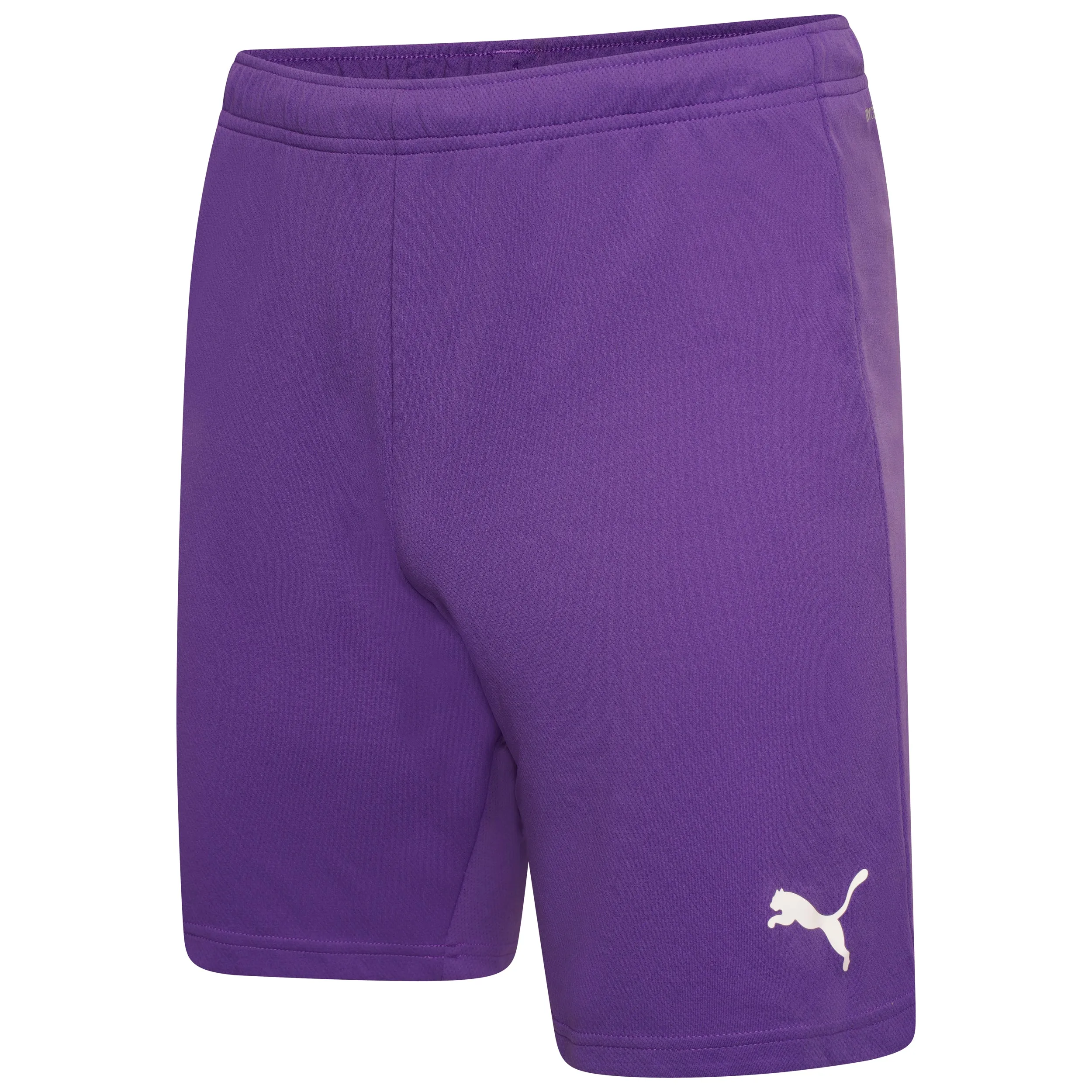 Puma Team Rise Shorts