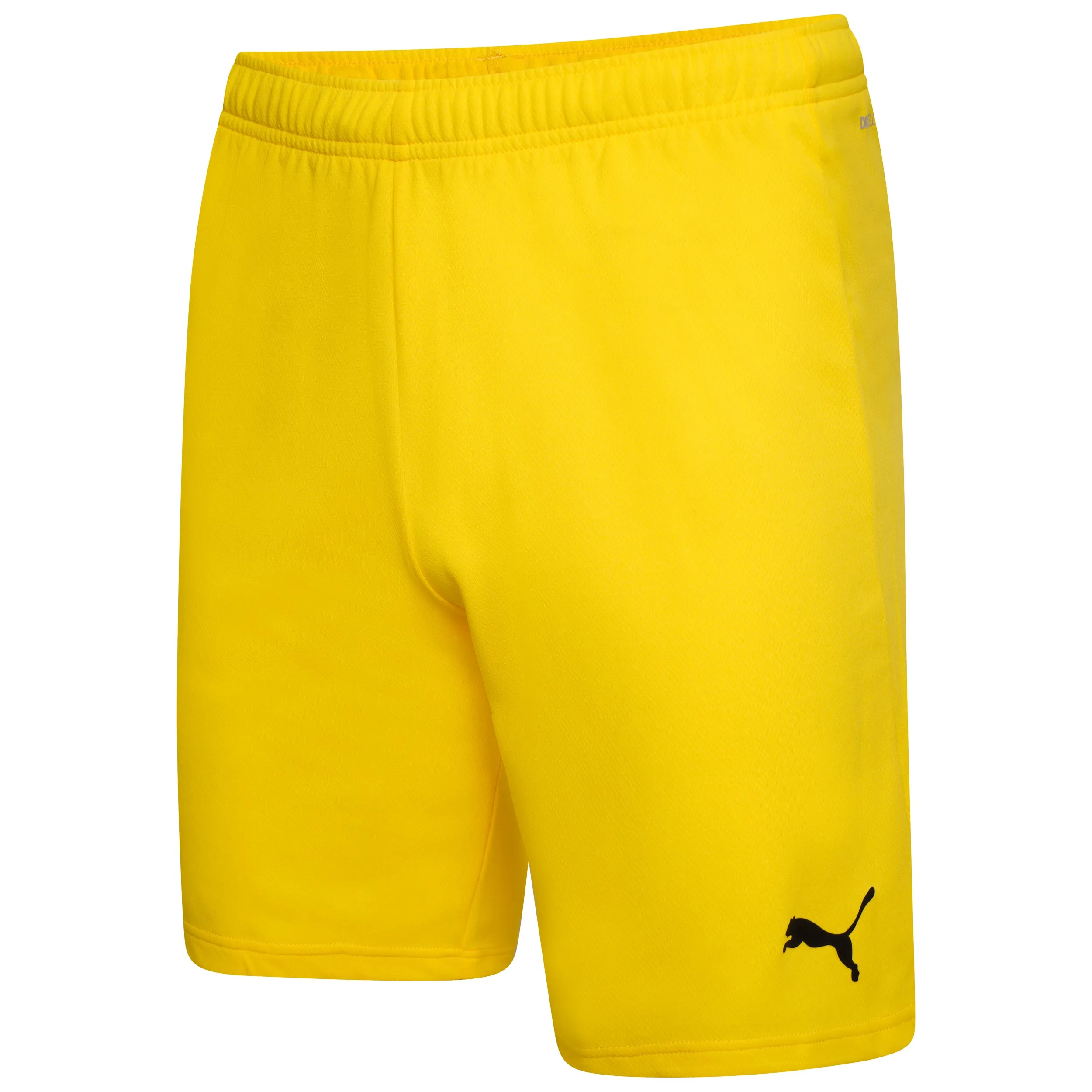Puma Team Rise Shorts