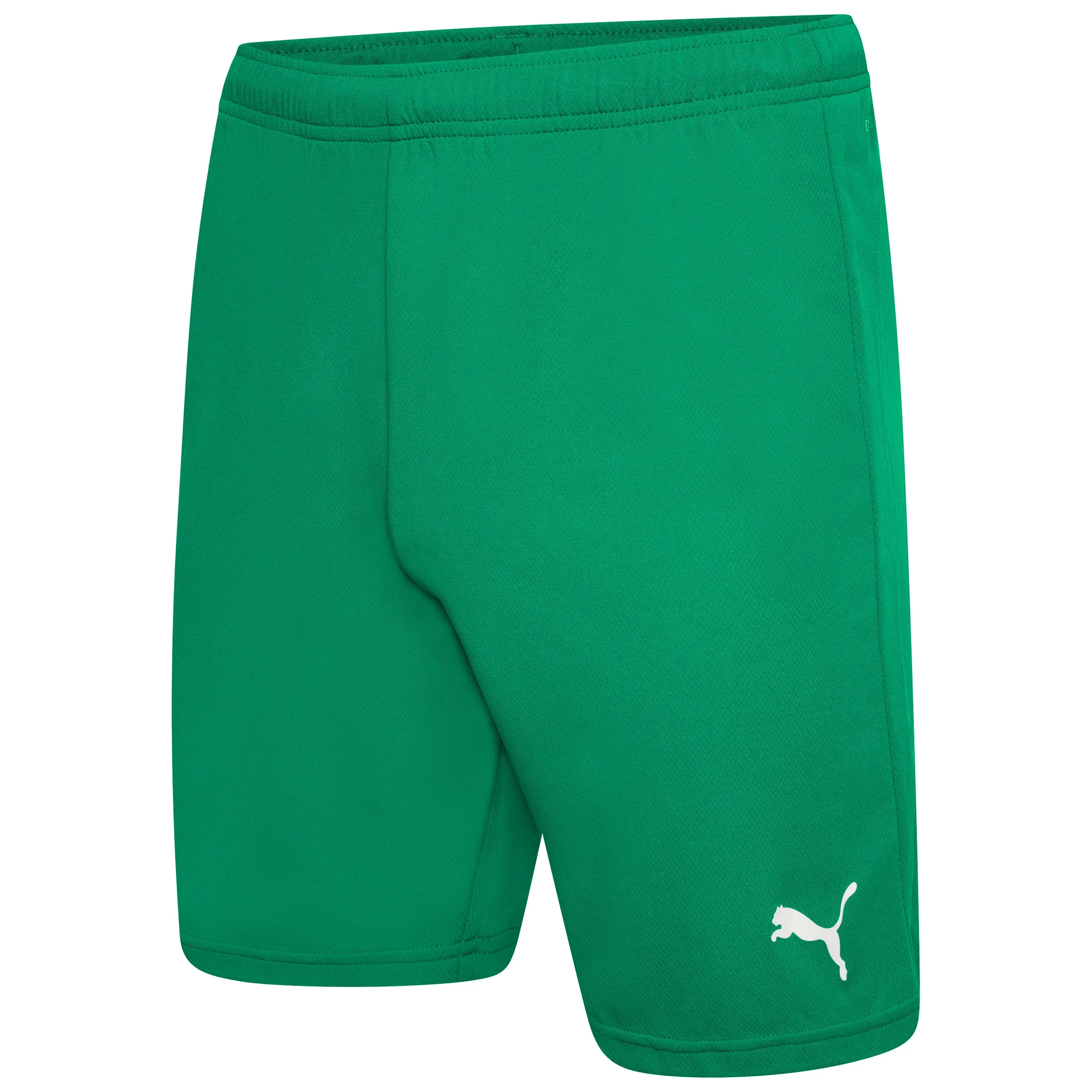 Puma Team Rise Shorts